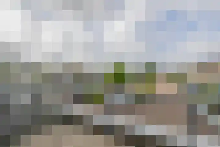 Mendelssohnstraat 73 Capelle aan den IJssel thumbnail 28