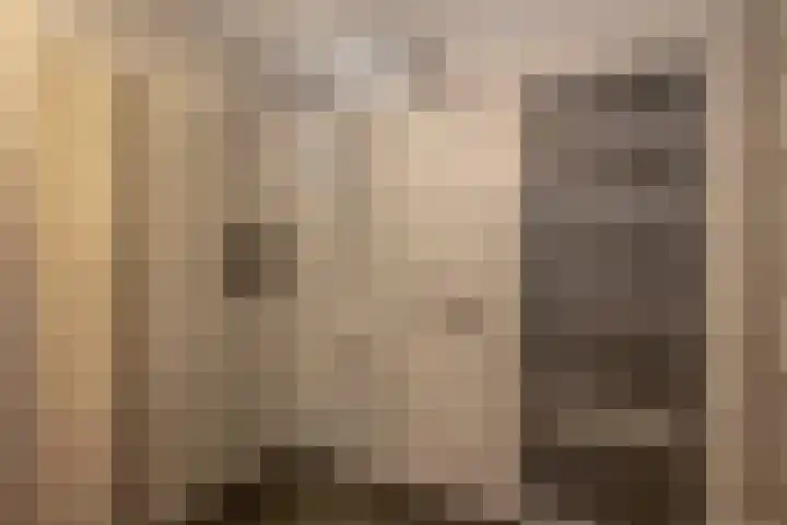 Mendelssohnstraat 73 Capelle aan den IJssel thumbnail 31