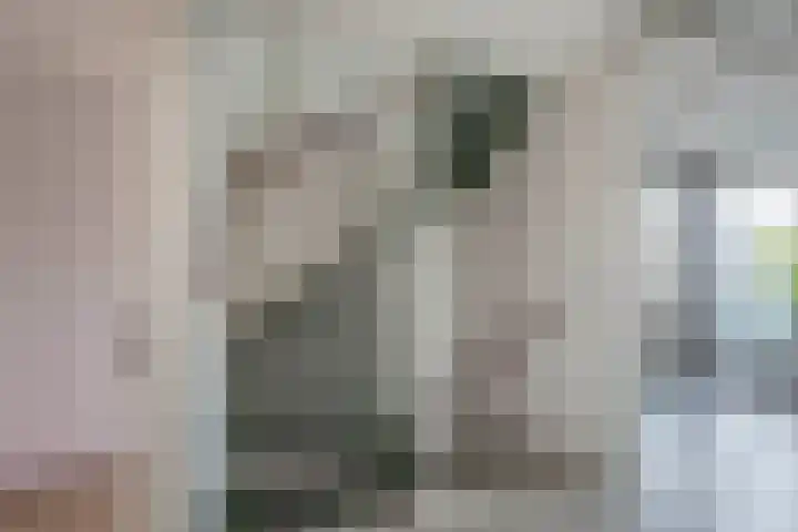 Mendelssohnstraat 73 Capelle aan den IJssel thumbnail 36
