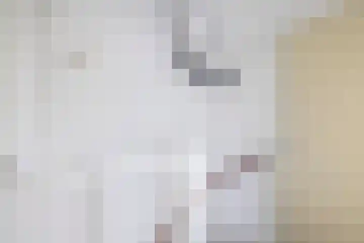 Mendelssohnstraat 73 Capelle aan den IJssel thumbnail 38