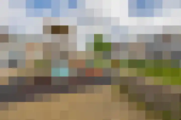 Mendelssohnstraat 73 Capelle aan den IJssel thumbnail 47