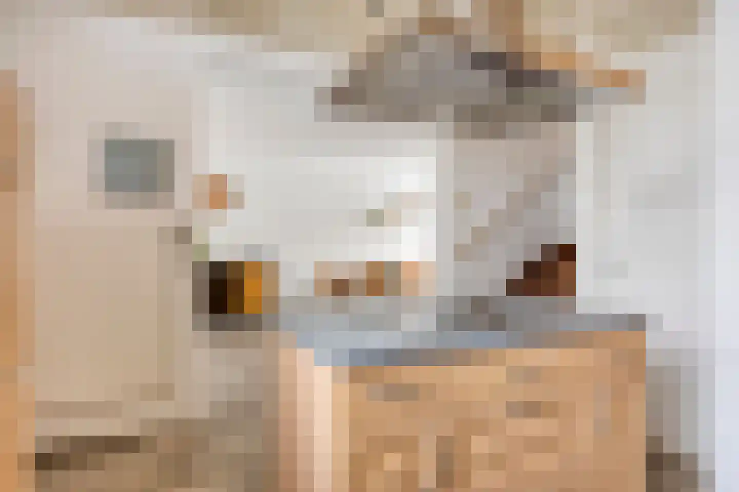 Mendelssohnstraat 9 Zutphen thumbnail 11