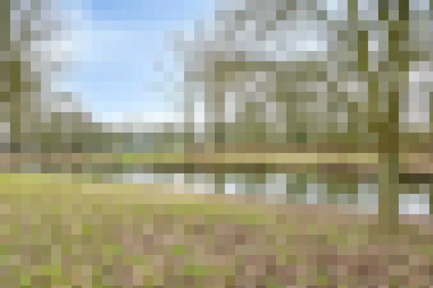 Mendelssohnstraat 9 Zutphen thumbnail 35