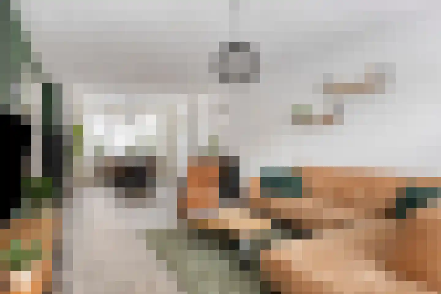 Mendelssohnstraat 9 Zutphen thumbnail 6