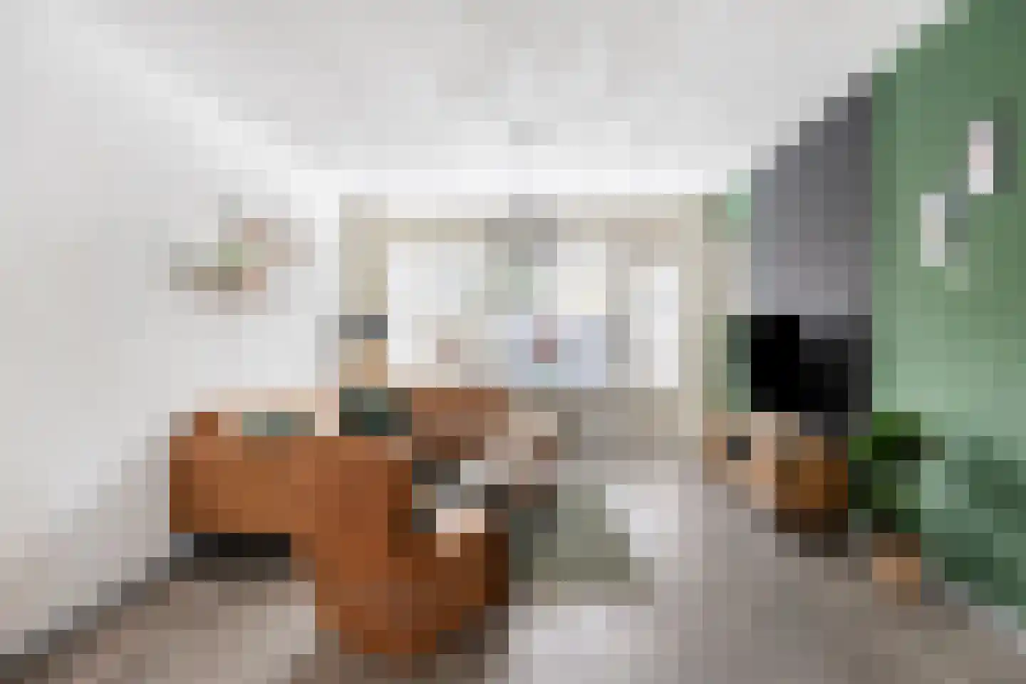Mendelssohnstraat 9 Zutphen thumbnail 7