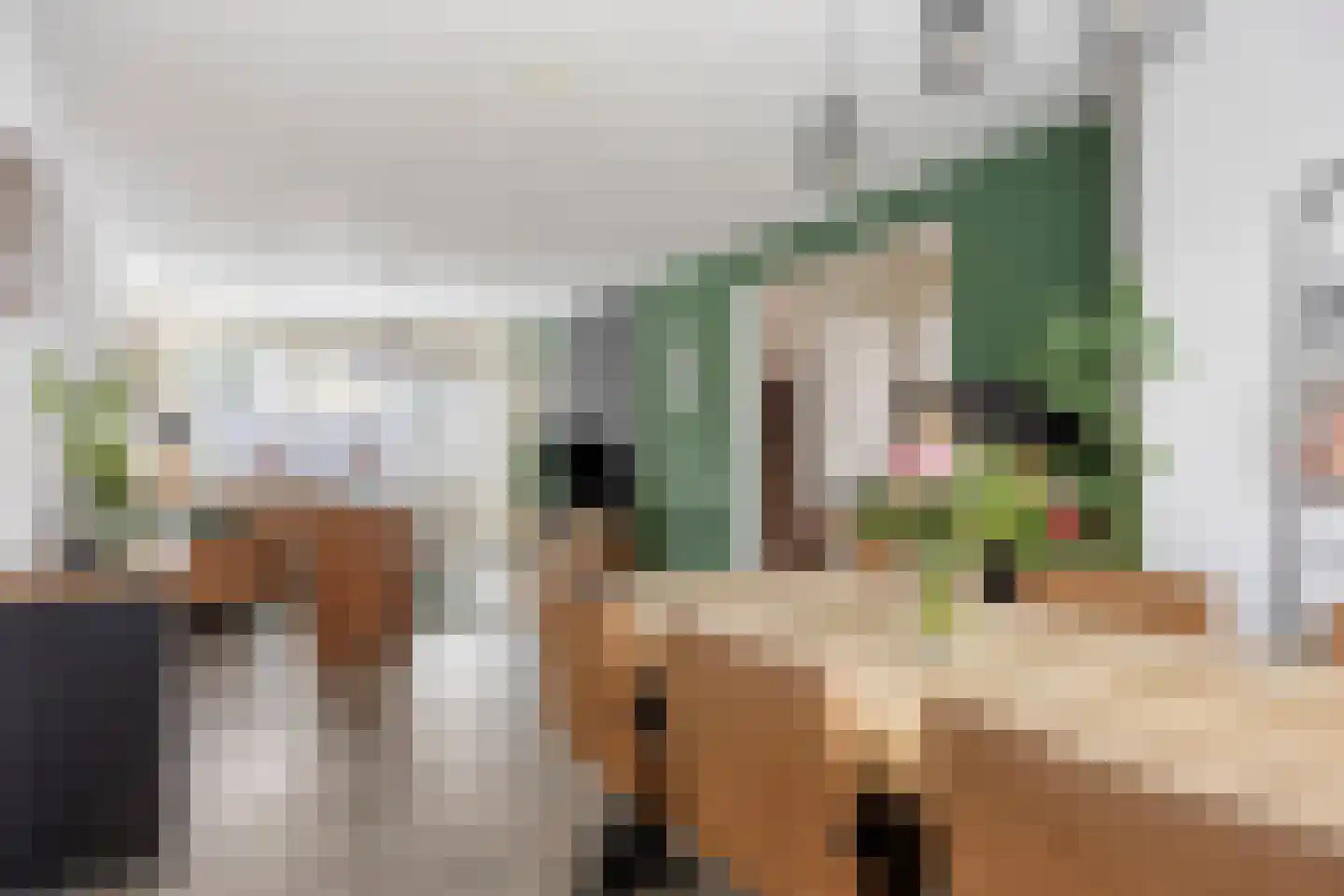 Mendelssohnstraat 9 Zutphen thumbnail 9