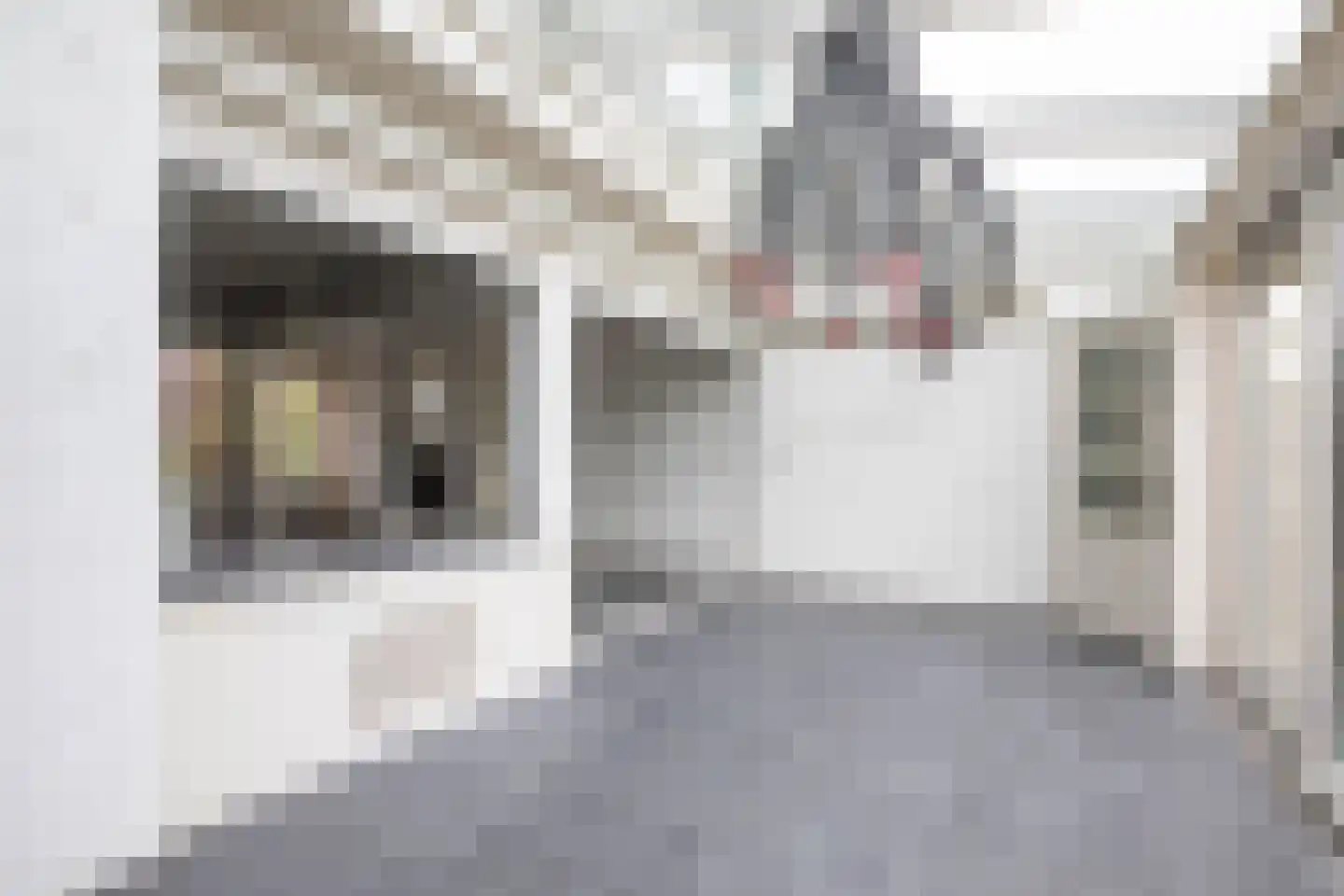 Mendelstraat 53 Aalsmeer thumbnail 10