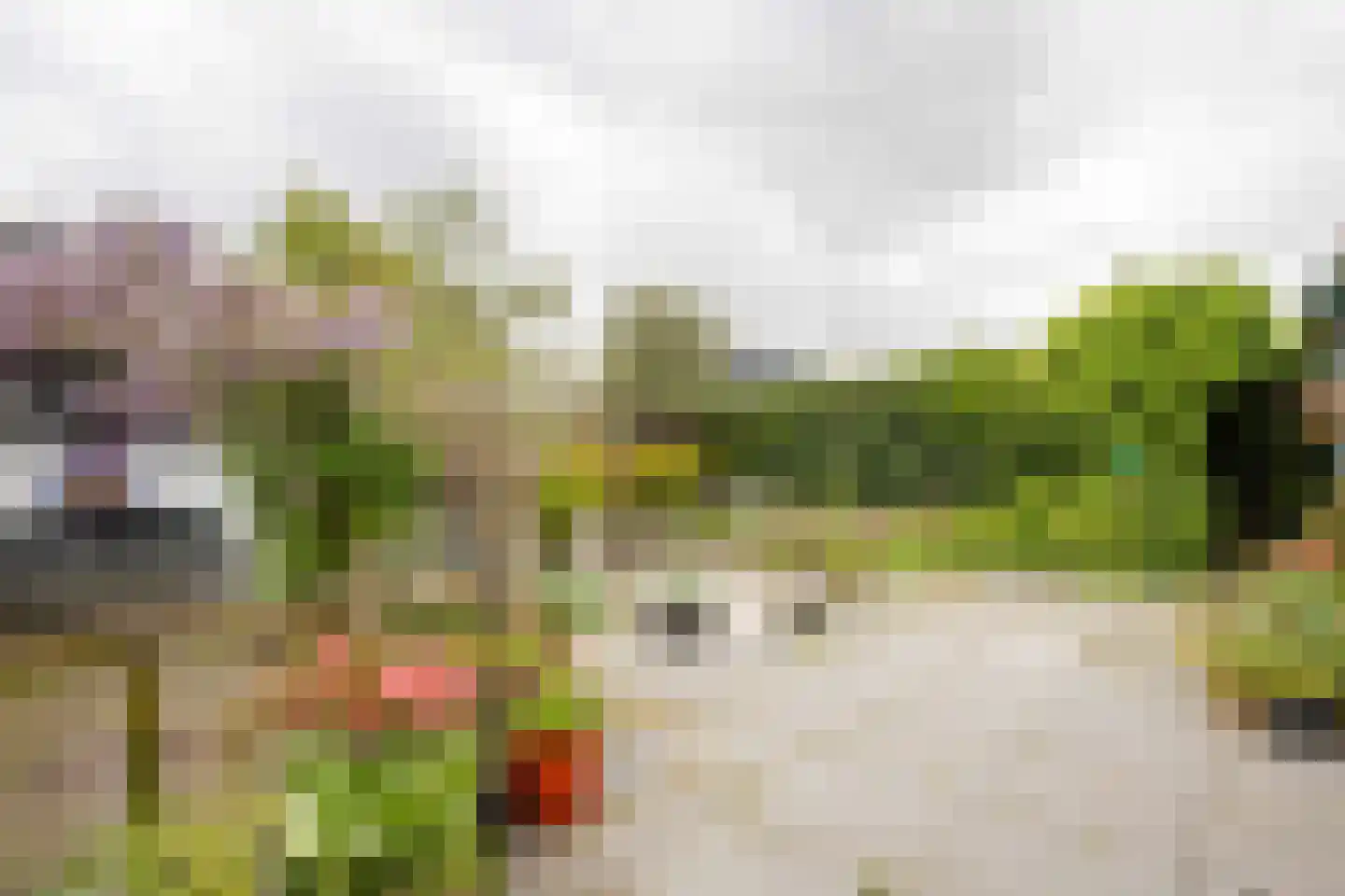 Mendelstraat 53 Aalsmeer thumbnail 4