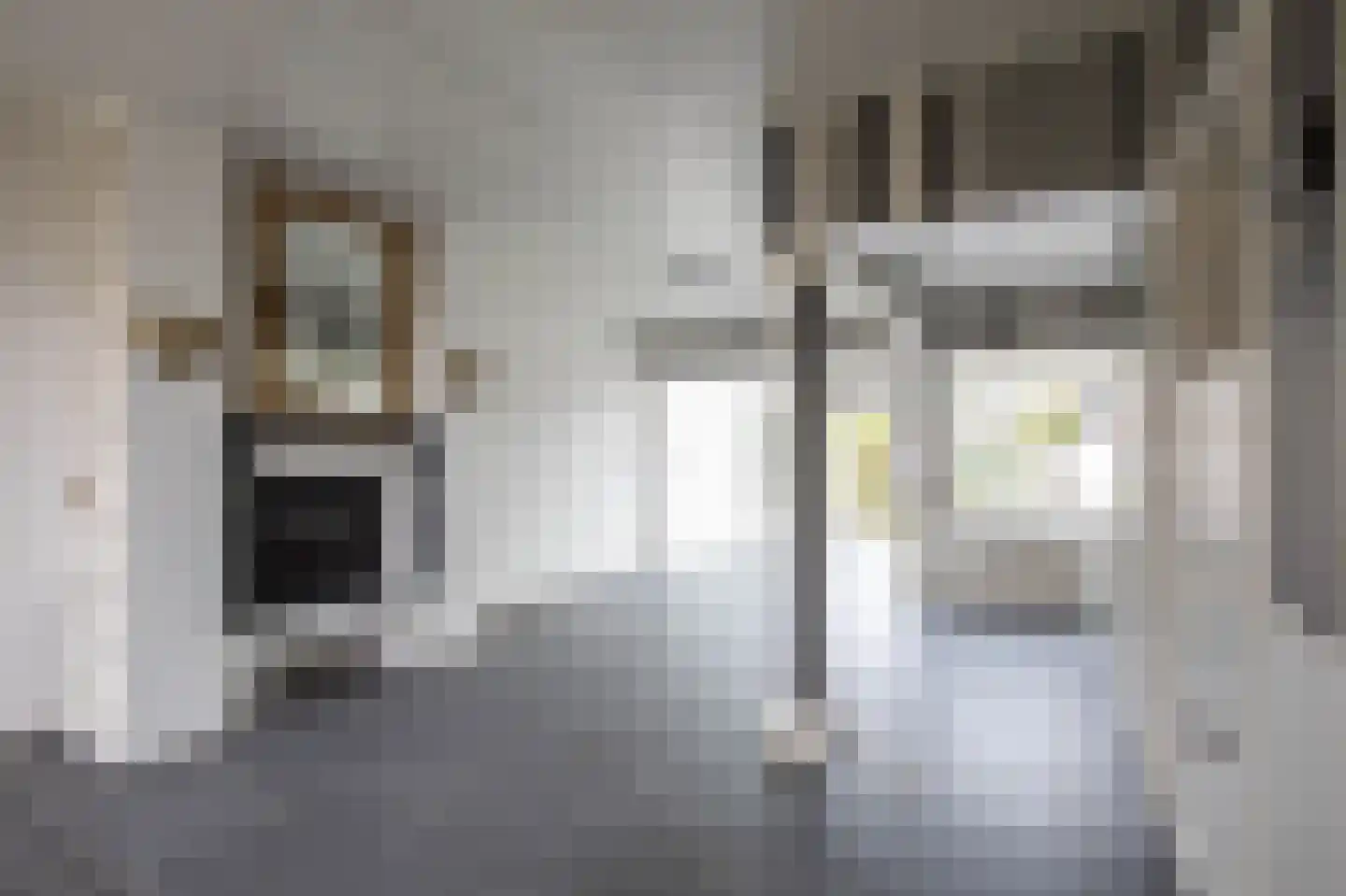 Mendelstraat 53 Aalsmeer thumbnail 7