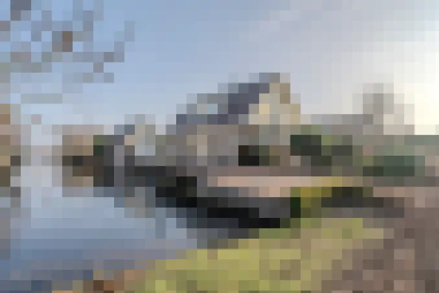 Mendelweg 2 Boskoop thumbnail 53