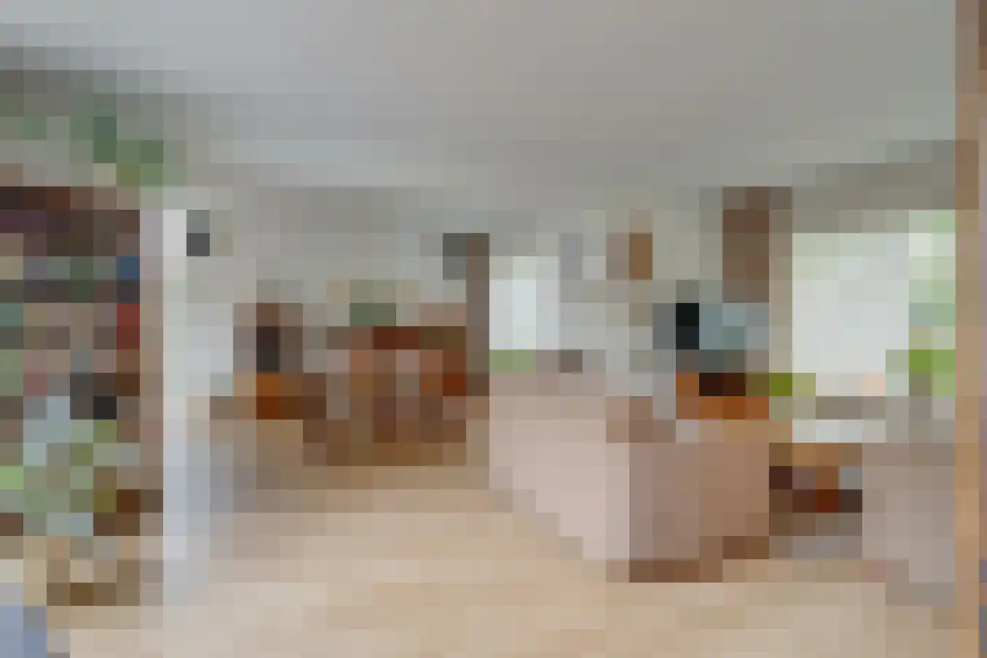 Mendes da Costalaan 120 Nieuwegein thumbnail 11