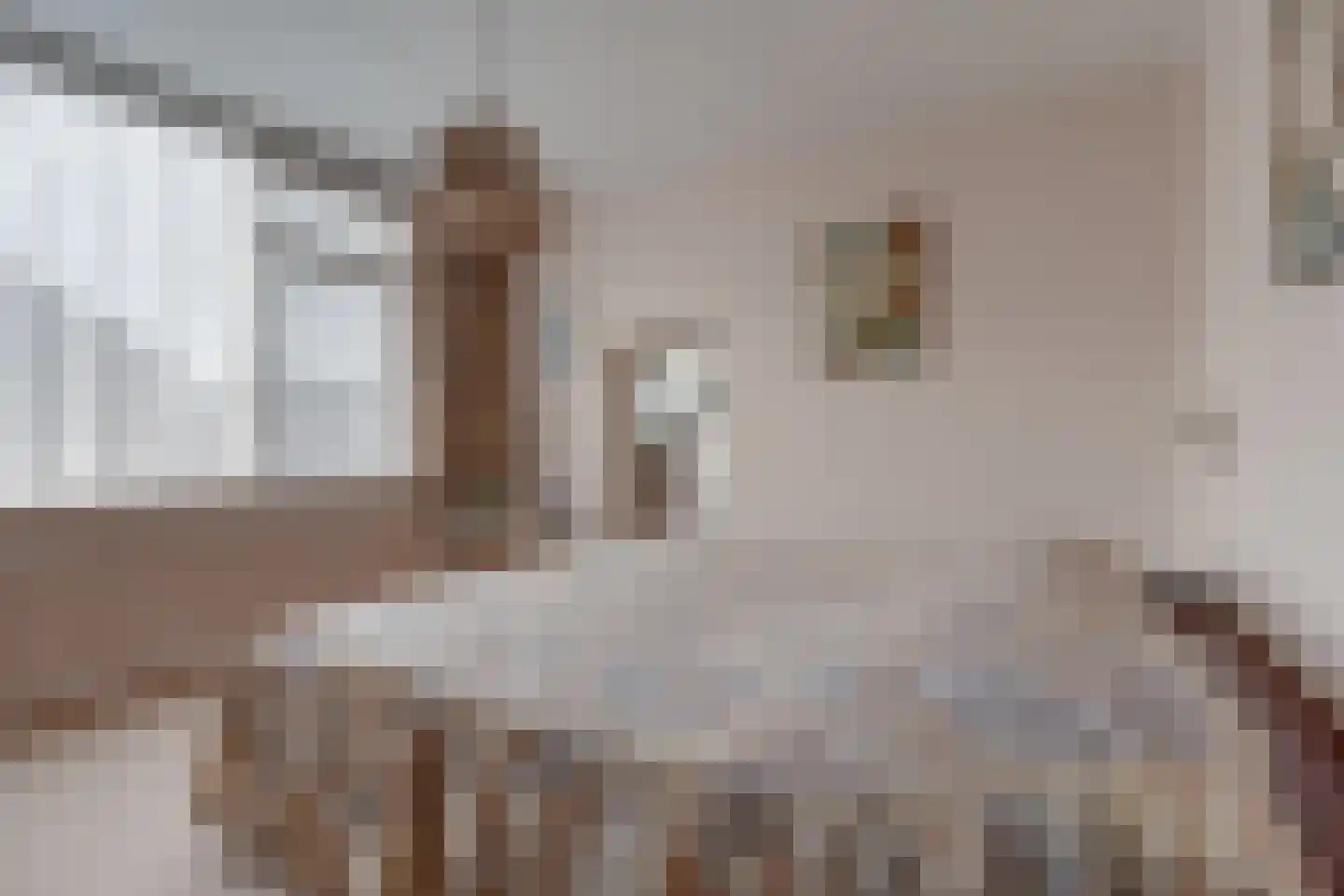 Mendes da Costalaan 120 Nieuwegein thumbnail 21