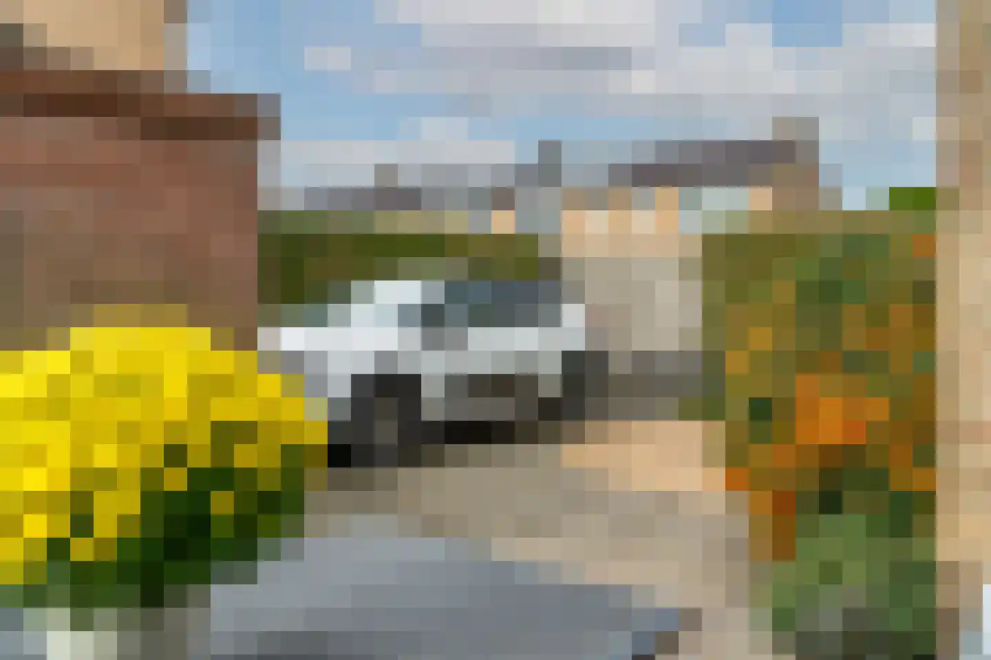 Mendes da Costalaan 120 Nieuwegein thumbnail 37