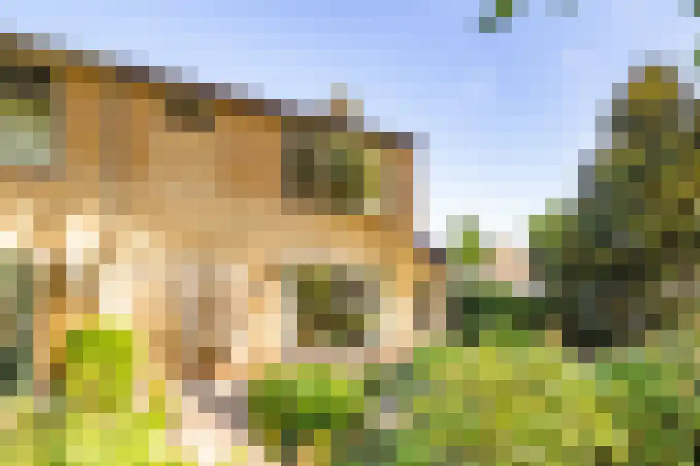Mendes da Costalaan 120 Nieuwegein thumbnail 58