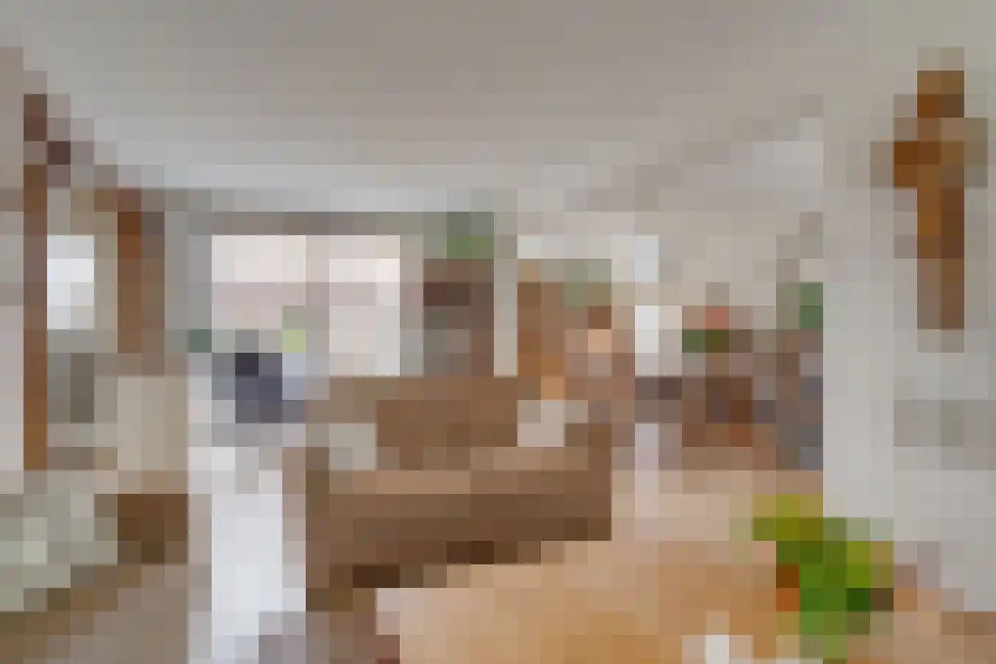 Mendes da Costalaan 120 Nieuwegein thumbnail 8