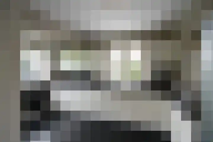 Mendes da Costalaan 15 Laren thumbnail 10