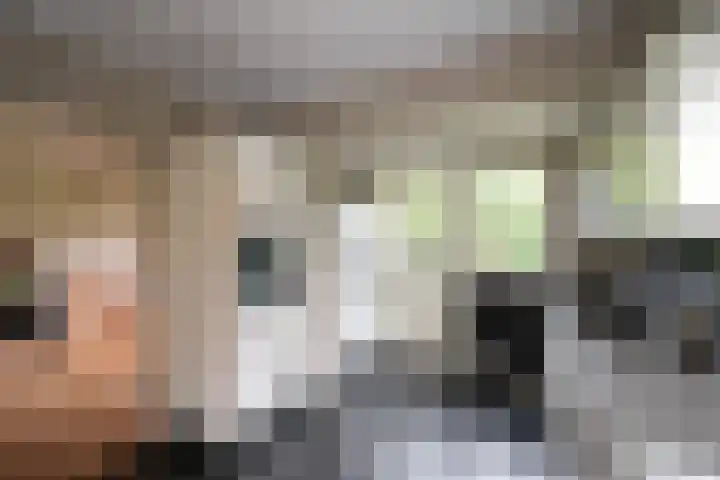 Mendes da Costalaan 15 Laren thumbnail 11