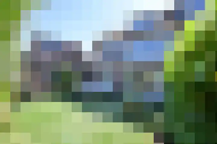 Mendes da Costalaan 15 Laren thumbnail 13