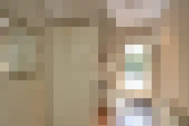 Mendes da Costalaan 15 Laren thumbnail 14