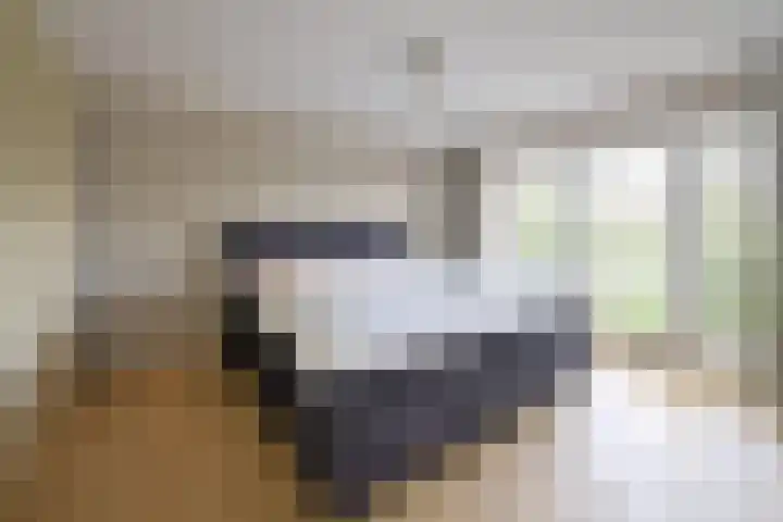 Mendes da Costalaan 15 Laren thumbnail 15