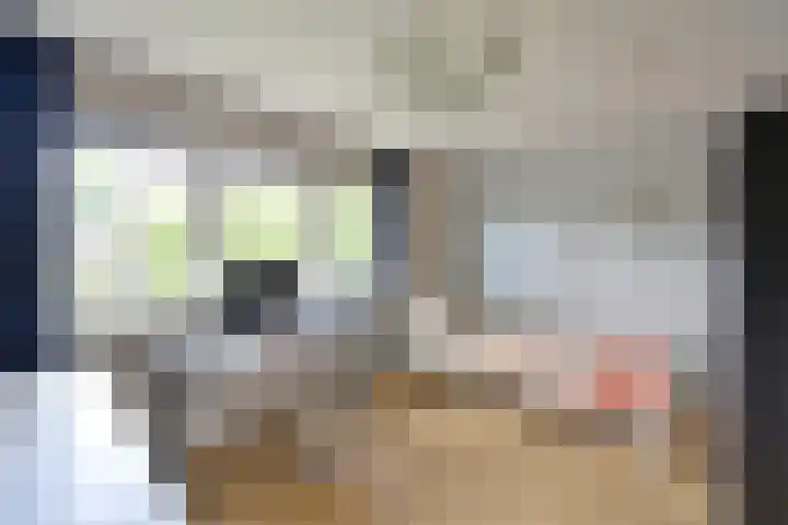 Mendes da Costalaan 15 Laren thumbnail 16