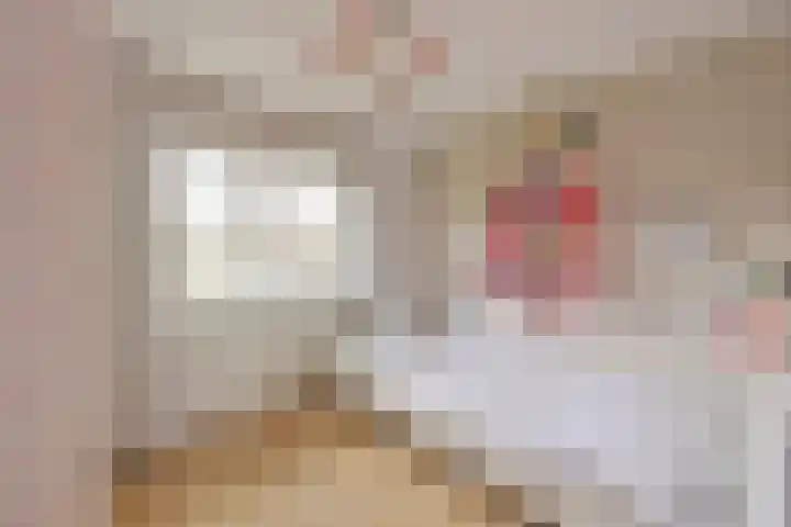 Mendes da Costalaan 15 Laren thumbnail 17