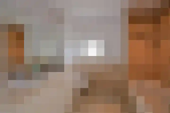 Mendes da Costalaan 15 Laren thumbnail 18