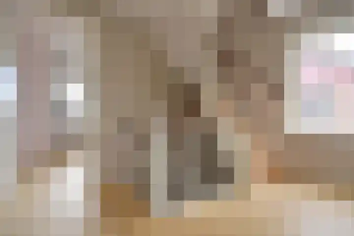 Mendes da Costalaan 15 Laren thumbnail 19