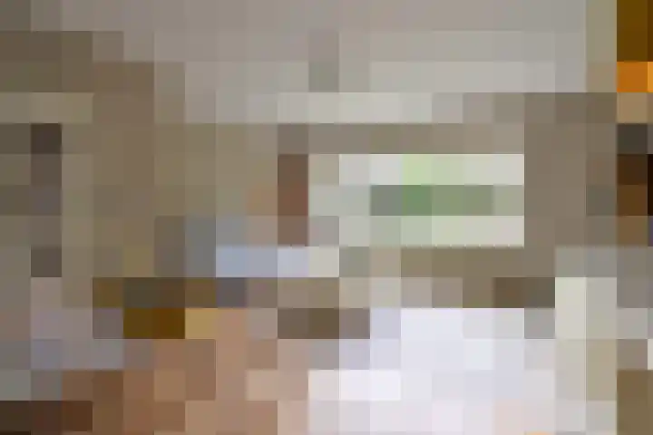 Mendes da Costalaan 15 Laren thumbnail 4