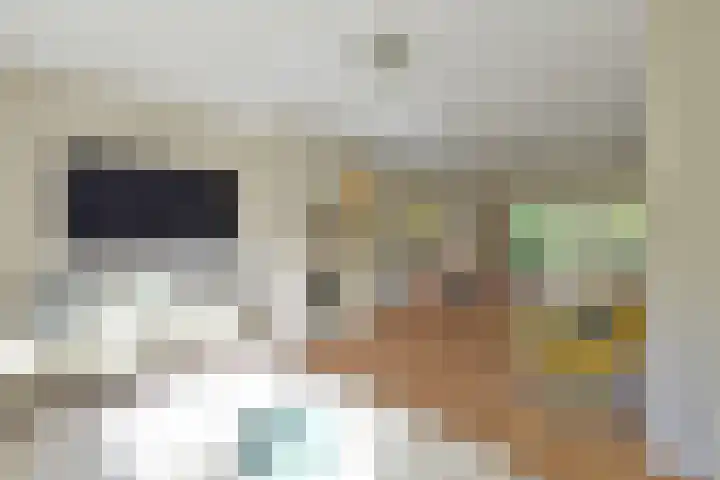 Mendes da Costalaan 15 Laren thumbnail 6