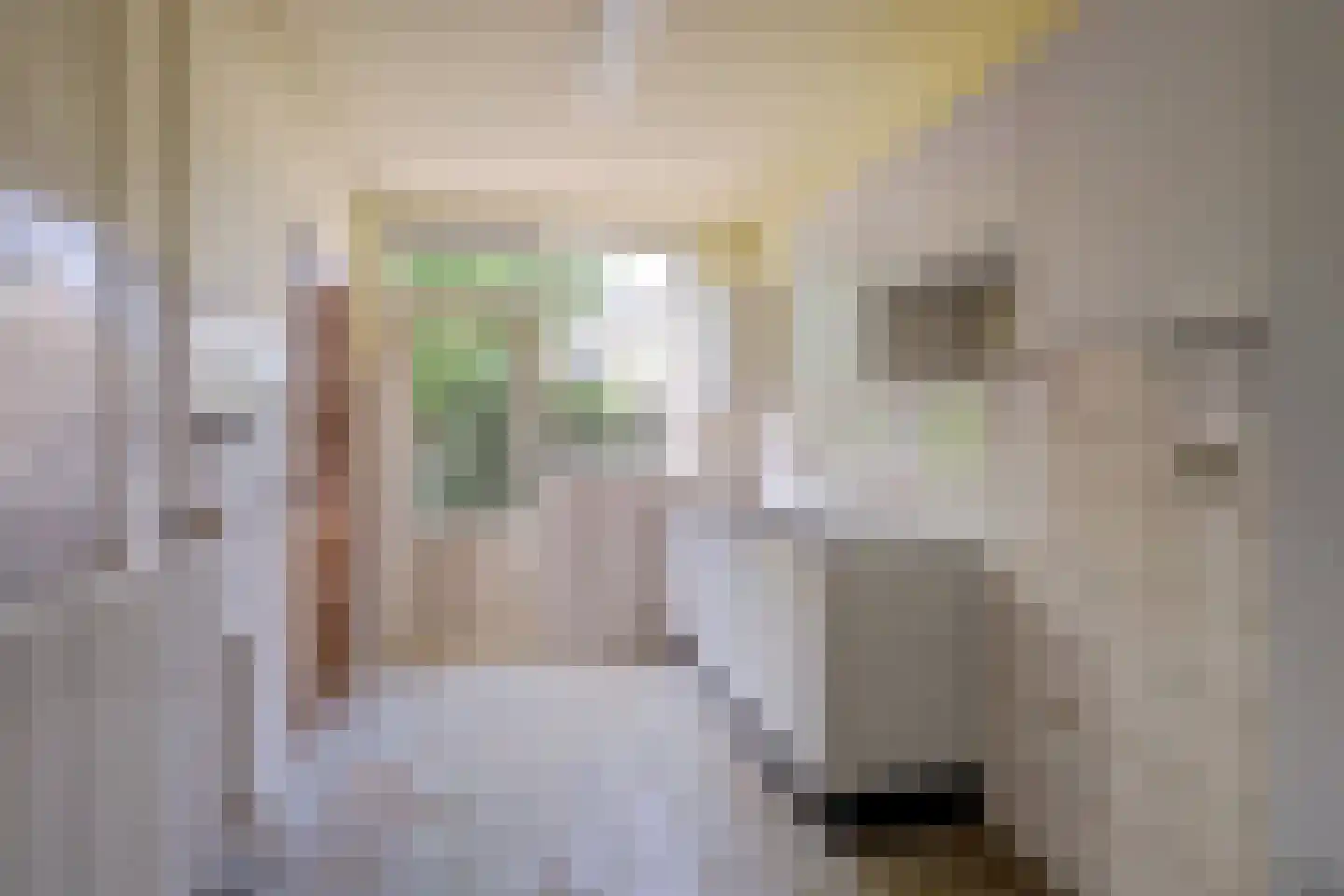 Mendes da Costalaan 18 Nieuwegein thumbnail 11