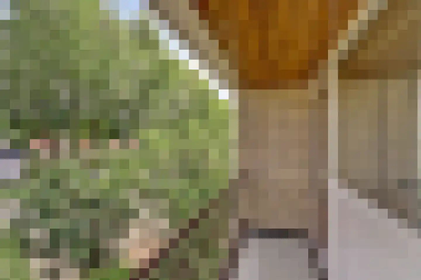 Mendes da Costalaan 18 Nieuwegein thumbnail 22