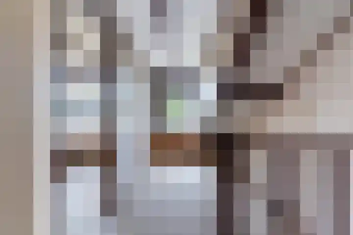 Mendes da Costalaan 42 Nieuwegein thumbnail 32