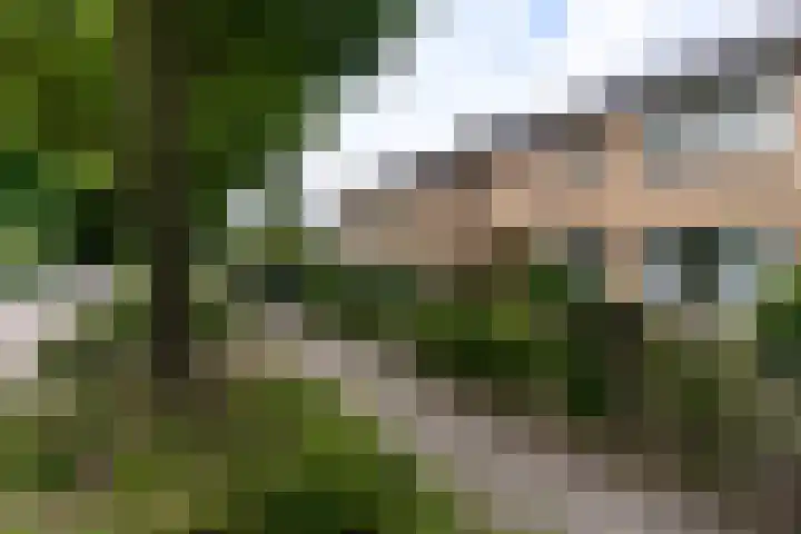 Mendes da Costalaan 42 Nieuwegein thumbnail 37