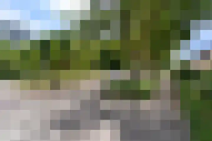 Mendes da Costalaan 42 Nieuwegein thumbnail 42