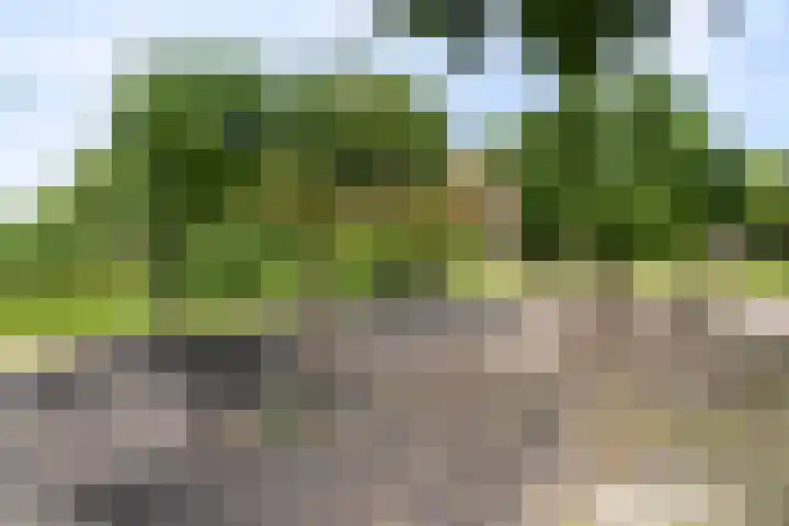 Mendes da Costalaan 42 Nieuwegein thumbnail 43