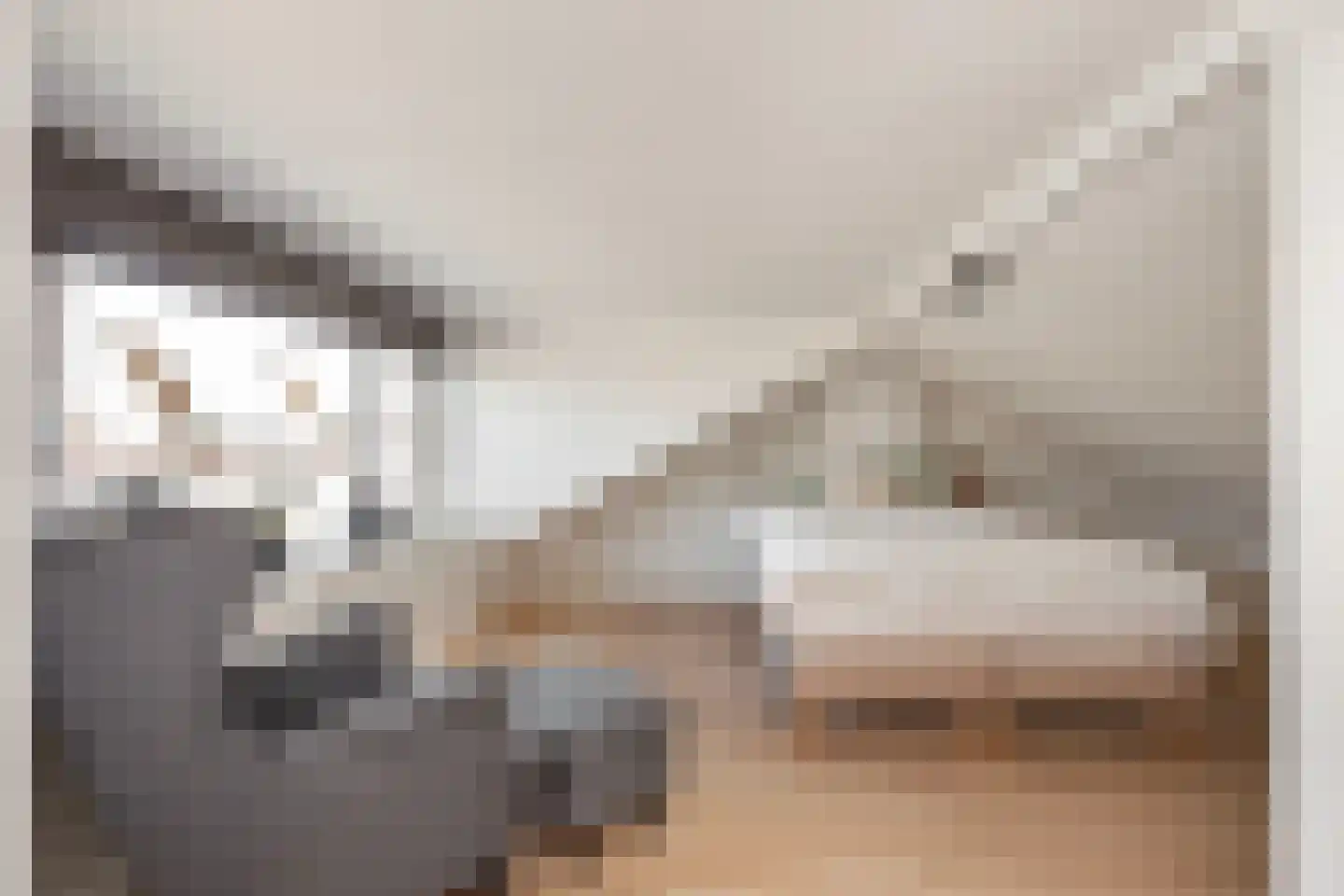Mendes da Costalaan 68 Nieuwegein thumbnail 30