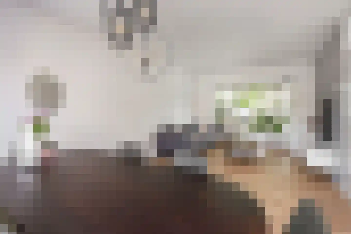 Mendes da Costalaan 68 Nieuwegein thumbnail 8