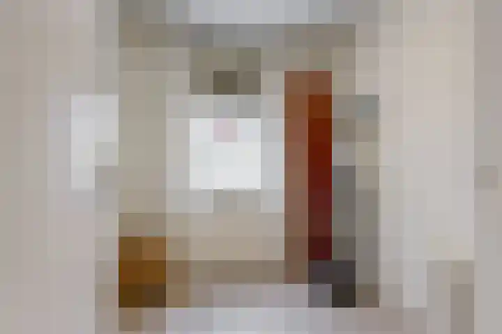 Mendes da Costalaan 74 Nieuwegein thumbnail 12