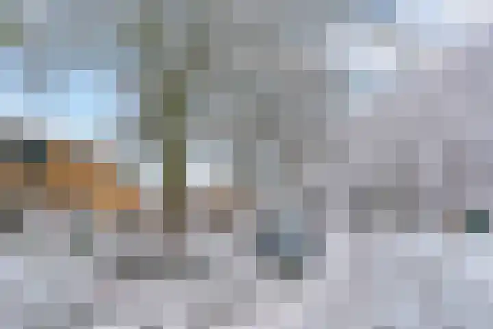 Mendes da Costalaan 74 Nieuwegein thumbnail 31