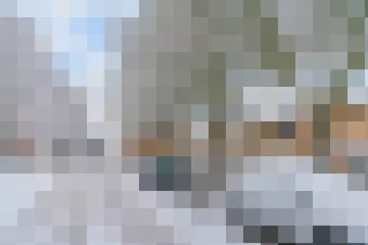 Mendes da Costalaan 74 Nieuwegein thumbnail 36