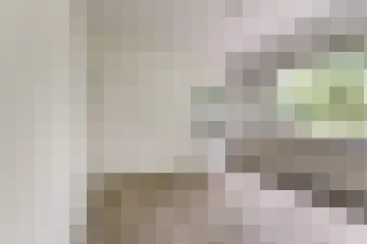Mendes da Costalaan 86 Nieuwegein thumbnail 27