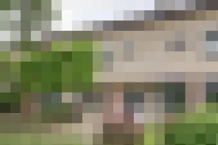 Mendes da Costalaan 86 Nieuwegein thumbnail 6