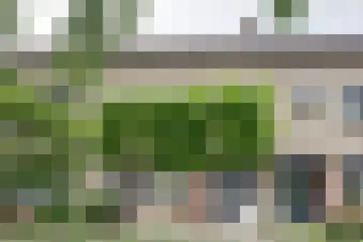 Mendes da Costalaan 86 Nieuwegein thumbnail 8