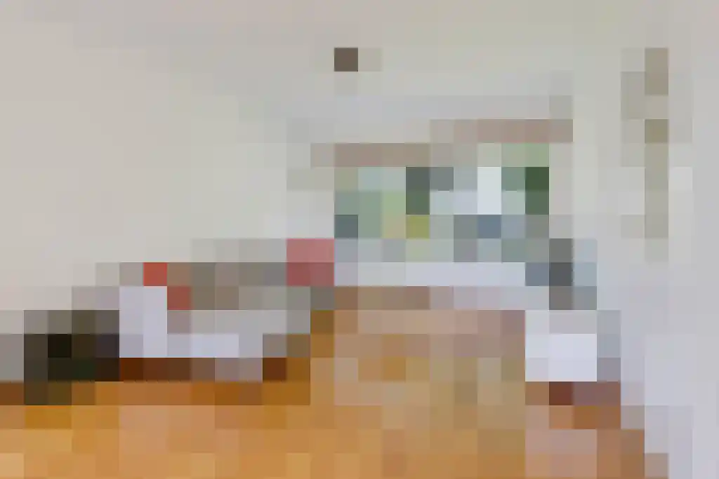Mendes da Costalaan 92 Nieuwegein thumbnail 5