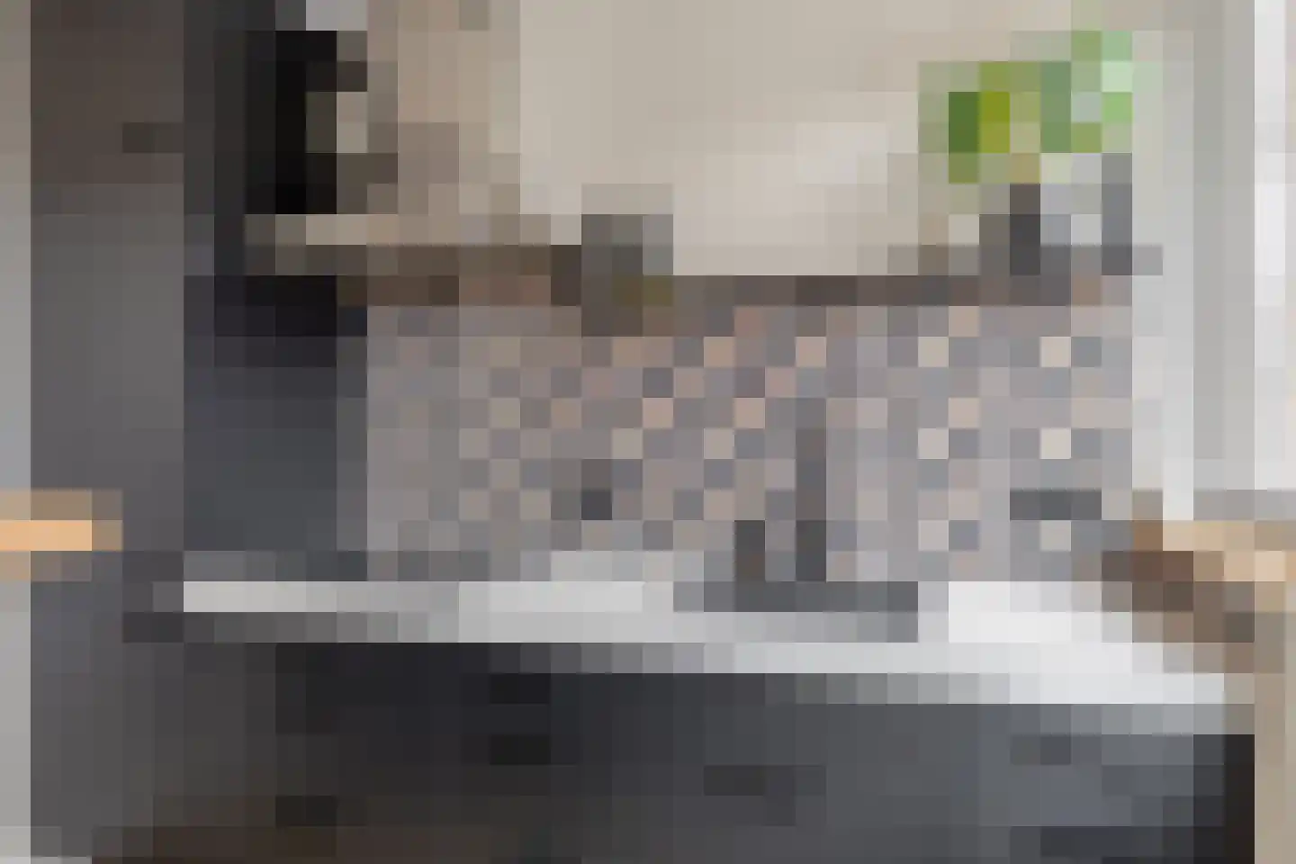 Mengerinckstraat 1 Zutphen thumbnail 12