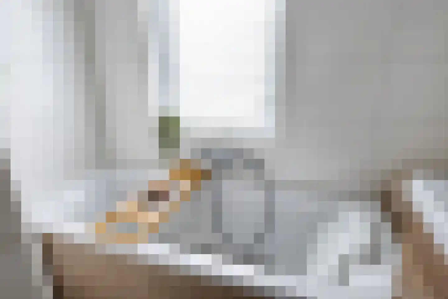 Mengerinckstraat 1 Zutphen thumbnail 22