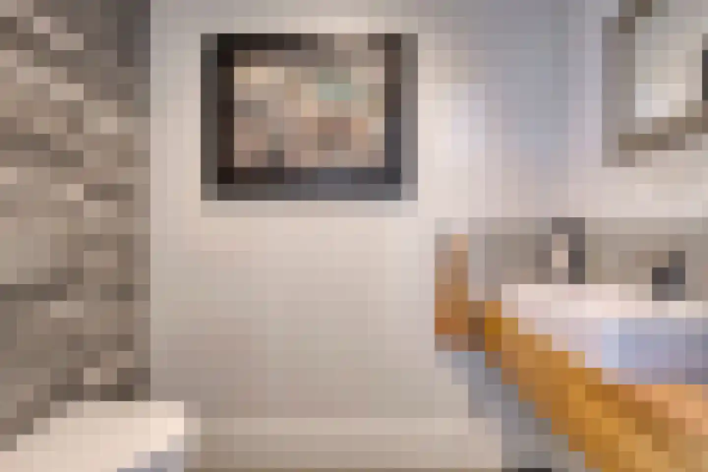 Mengersdijk 8 a Neede thumbnail 10