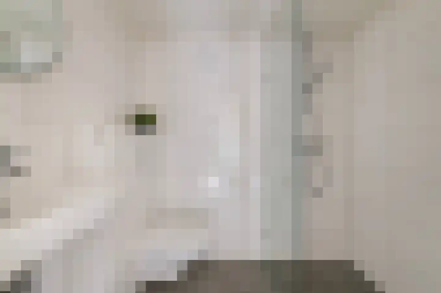 Mengersdijk 9 30 Neede thumbnail 21