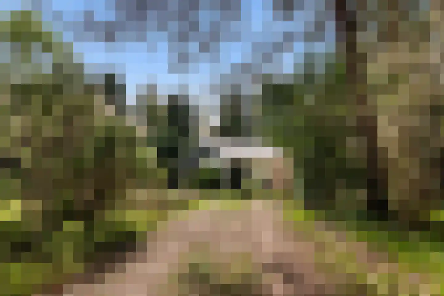 Mengersdijk 9 30 Neede thumbnail 28